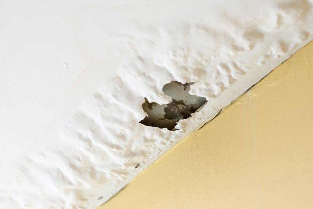 Water Damaged Ceiling Repair