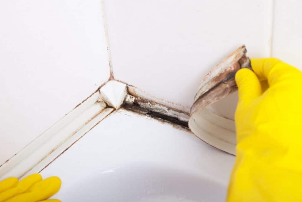 mold prevention