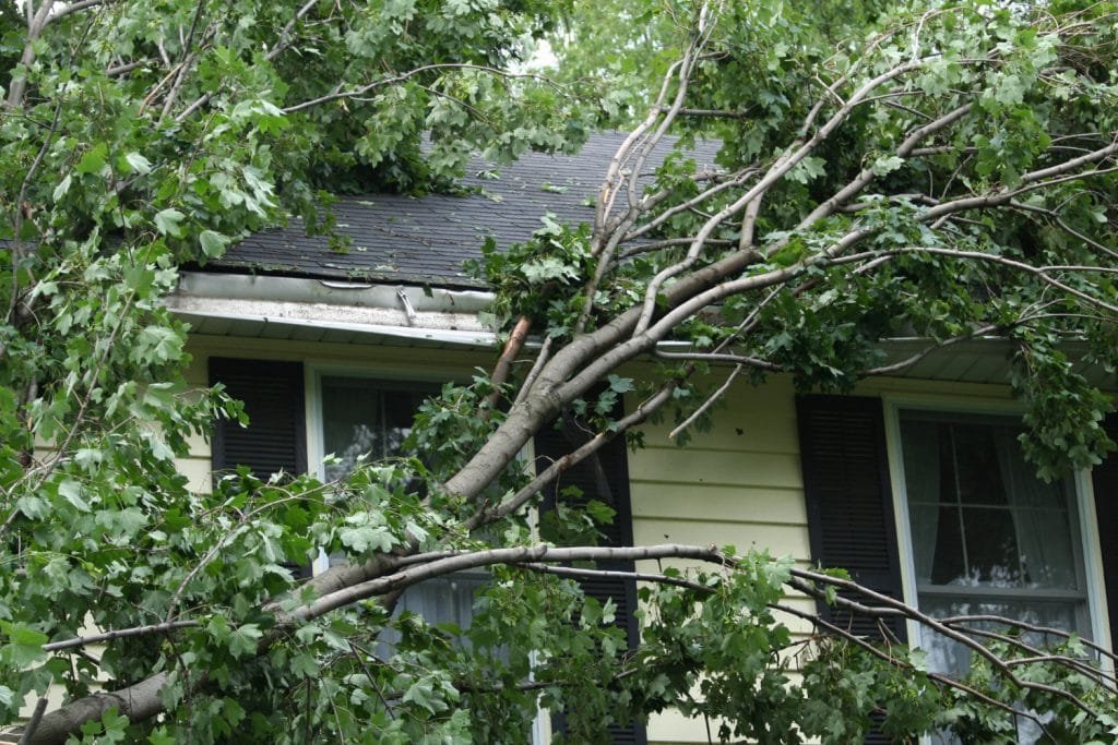 storm damage cleanup