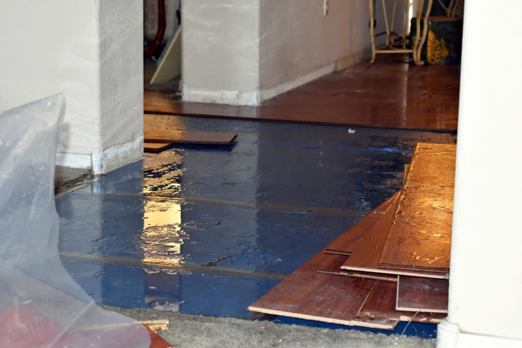 wood floor water damage