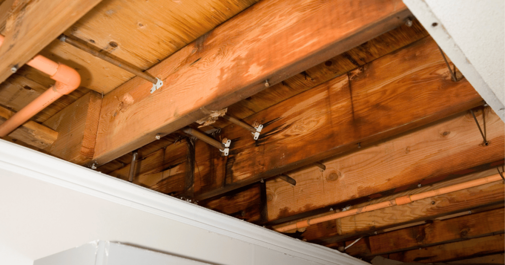 Boca Raton water damage restoration company