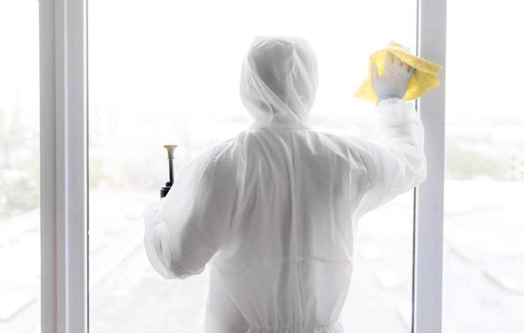 Professional Mold Removal