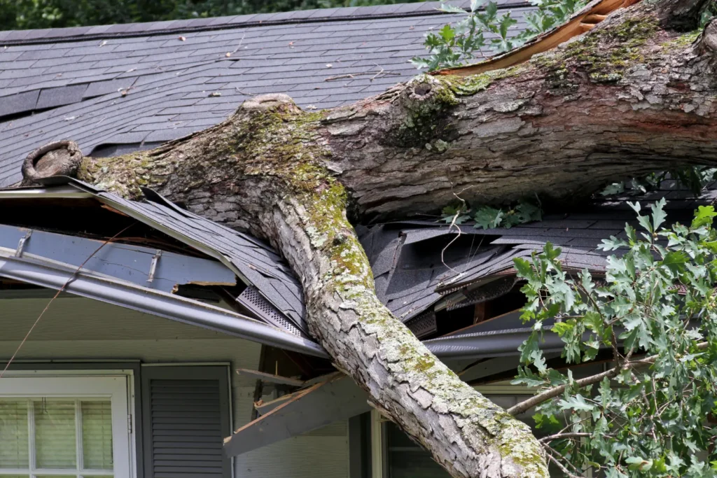 Boca Raton, FL Storm Damage