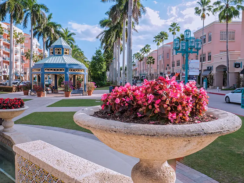 Pink flowers in a stone planter with palm trees and a gazebo in a sunny urban park.