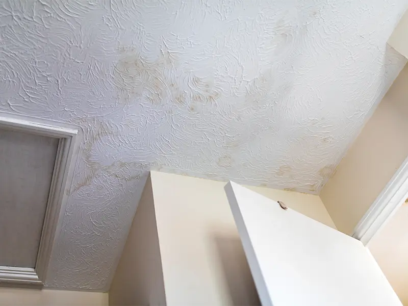 Ceiling with visible water stains and discoloration near a partially open door.