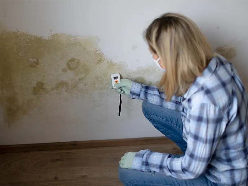 Person wearing gloves and a mask measuring moisture on a moldy wall with a handheld device.